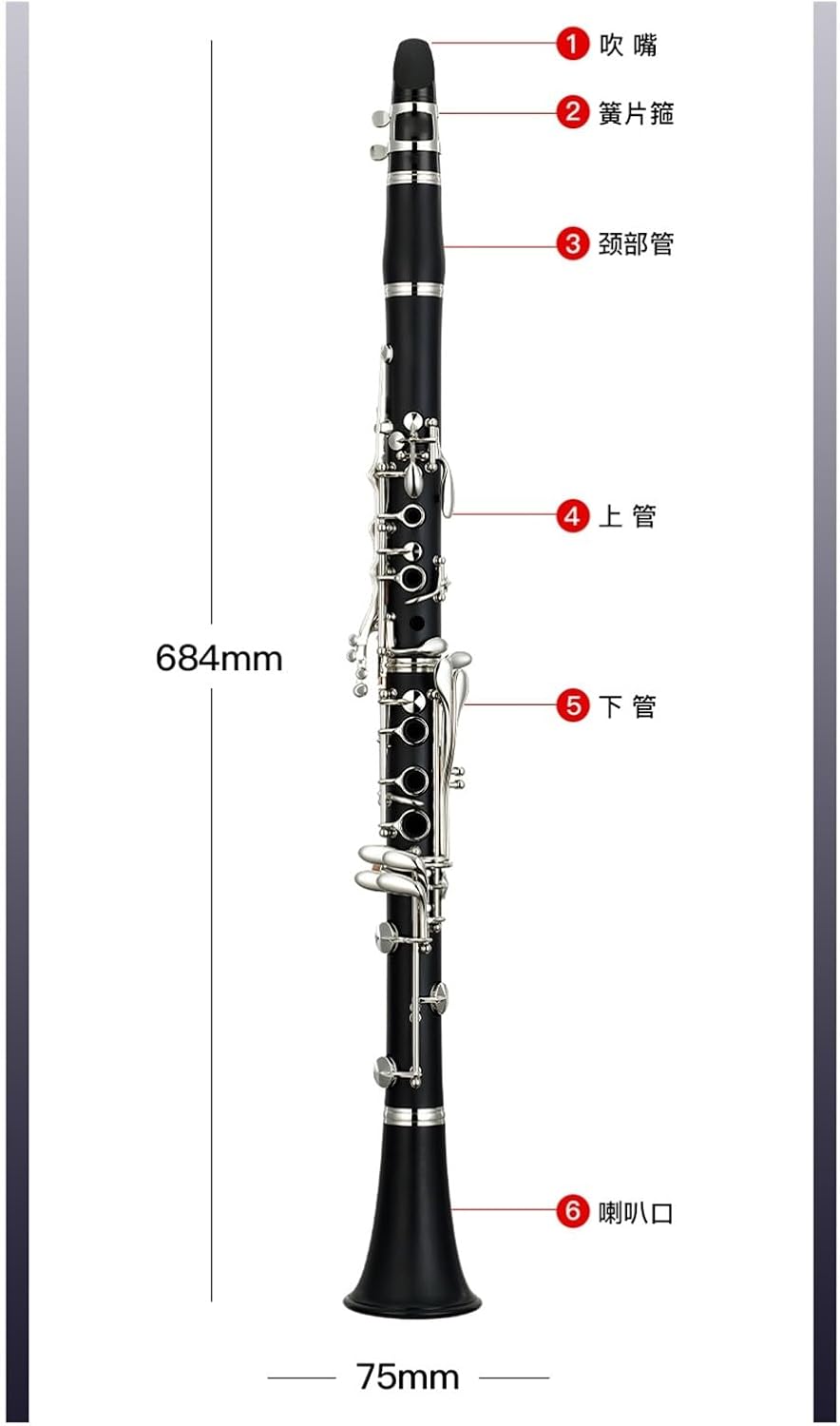 clarinet for Beginner Clarinet adult beginner professional instrument