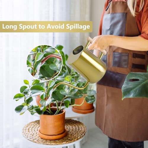 Image of Watering Can Indoor Plants, 35oz Small Stainless Steel Metal Watering Can Modern Decorative Watering Pot with Long Spout for Indoor House Plant Bonsai Garden Flowers (Gold)