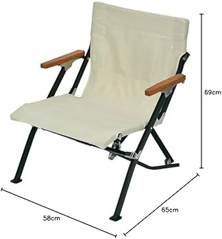 Amazon.co.jp: スノーピーク(snow peak) チェア ローチェア30 ショート