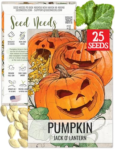 Seed Needs Pumpkin Seeds for Planting Jack O Lantern Pumpkins - Non-GMO Heirloom & Untreated...