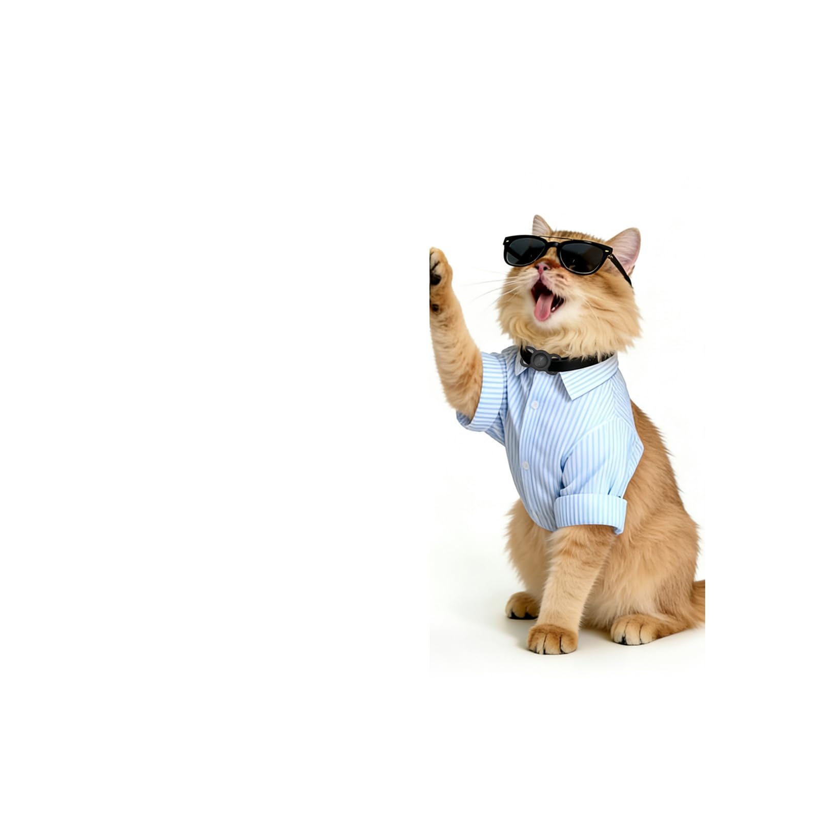 Collar GPS para gatos, GPS para perros con seguimiento de ubicación en tiempo real, mini rastreador de gatos, rastreo de perros sin suscripción, compatible con iOS/Android, larga duración, se puede