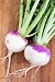3LBS Purple Top Turnip Deer Food Plot Seeds Food Plot Non-GMO Vegetable Garden Micro Greens Seeds Whitetail Deer Green Goose
