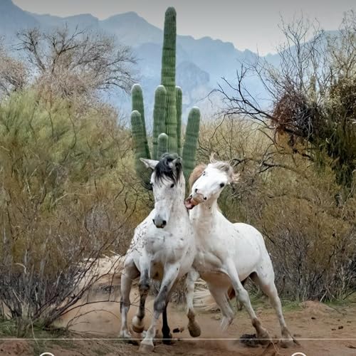 JEN & STEVO - TWO CAN TRAVEL YT CHANNEL, ON WHY LIVING IN OTHER COUNTRIES IS INFINITELY PREFERABLE!