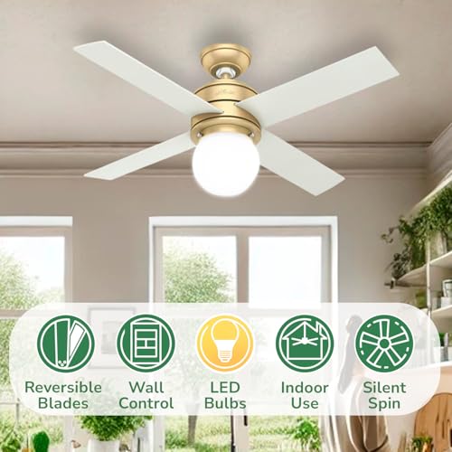Image of Hunter Hepburn, Indoor, Ceiling Fan, with LED Light, 44 inch, Modern Brass