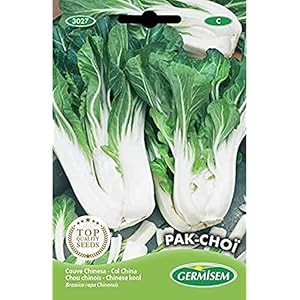 Germisem Pak Choï Chinese Kool Zaden 3 g