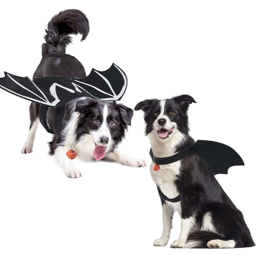 SUPERFINDINGS 1PC Halloween Pet Bat Wings Costume M Size Glow In Dark Skeleton Pattern Dog Costume with Adjustable Strap and Pumpkin Bell Pendant Pet Cosplay Outfit for Halloween Party Dress Up