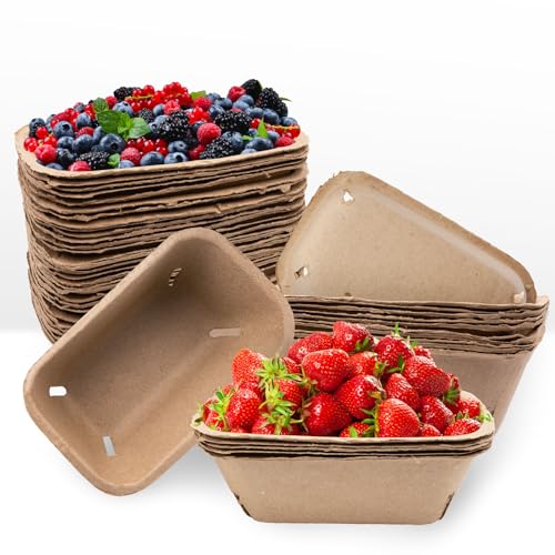 Panier à baies anti-moisissure en pulpe pour conserver fraise, myrtille et œuf