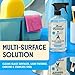 Aunt Fannie's Glass & Window Cleaning Vinegar Spray, Natural Streak-Free Spray, 16.9 Ounces (Pack of 1)