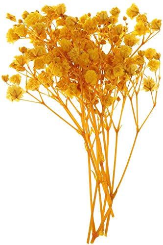 Flores secas prensadas naturales para manualidades - Amarillo