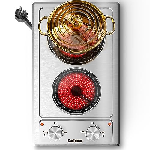 Find The Best Plug In Electric Cooktop Reviews & Comparison Katynel
