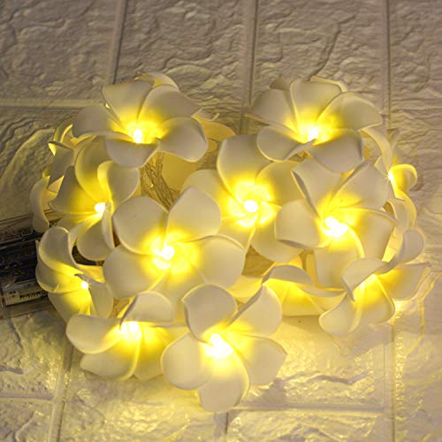 Andoer 20 LEDs 9,84 pés de luz de corda em forma de flor piscando luzes de fada branco quente luzes