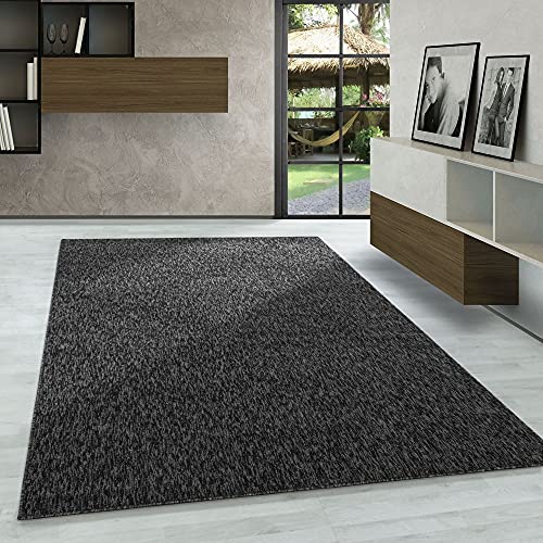 Carpetsale24 Teppich Wohnzimmer Einfarbig Schlingenflor Cut-Loop Teppich Anthrazit 160 x 230 cm -...