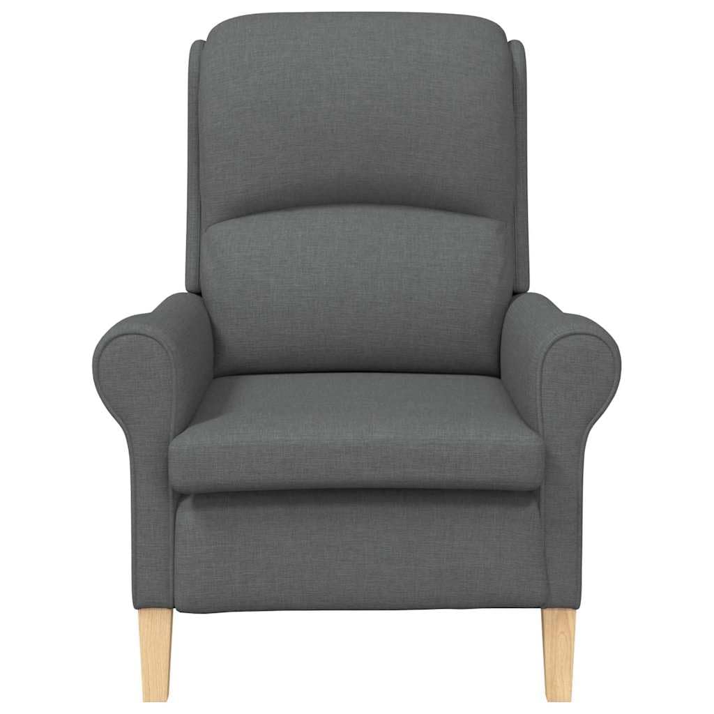 Poltrona Moderna Grigio Scuro in Tessuto con Telaio in Legno