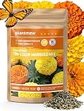 Tri-Color Marigold Seeds for Planting | 15,000+ Heirloom French Marigold Flower Seeds | Non-GMO, High Germination, USA Grown for Outdoor Gardens & Borders