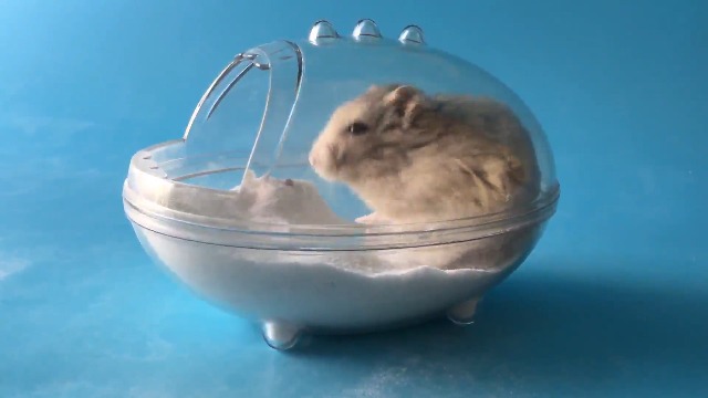 Hamster-Badewanne S – Sandbadbehälter 11,2x11,2x8,9 Cm, Transparent