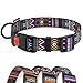 CollarDirect Tribal Dog Collar Aztec Pattern Adjustable Nylon Pet Collars for Small Medium Large Dogs Puppy (Pattern 2, Neck Fit 12"-16")