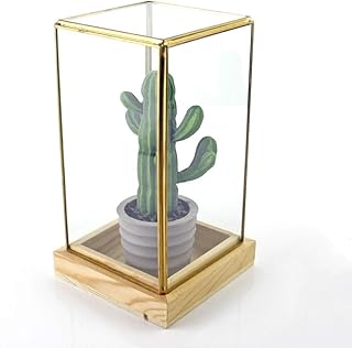 OQHAIR Terrario Mesa de Centro Vintage Escaparate geométrico de Boda Helechos de Musgo suculentos Bola de Cristal (Color: Negro Tamaño: 10x10x20cm) (Latón 10x10x20cm)