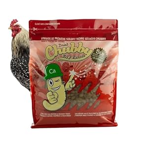 Chubby Canadian Grown Dried Black Soldier Fly Larvae | 5 lb | High-Calcium Non-GMO Dried Insects for Chickens & Wild Birds – Premium Protein Treat