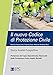 Il Nuovo Codice Di Protezione Civile. Storia, Analisi, Prospettive - 3