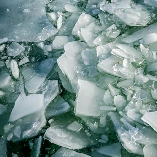 The Lake - February 2026