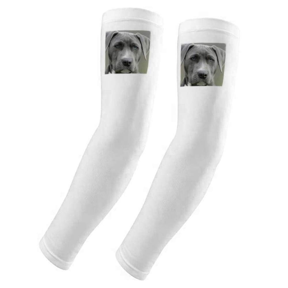 Guante para perro que evita tirones en pieles sensibles DIYthinker 5