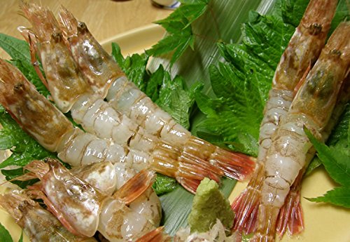 刺身 珍味 食品の人気商品 通販 価格比較 価格 Com 刺身 珍味 食品の人気商品 通販 価格比較 価格 Com