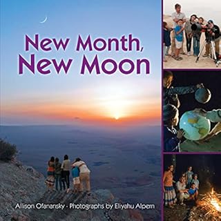 New Month, New Moon Audiobook By Allison Maile Ofanansky cover art