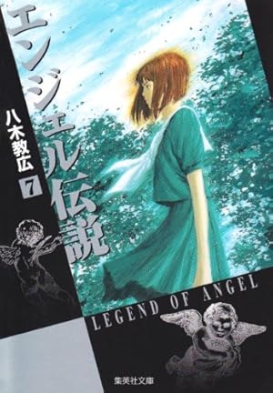 カムラッドエンジェル全3巻 ― (ハイランドセレクション) カムラッドエンジェル全3巻 ― (ハイランドセレクション) カムラッド