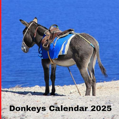 Donkeys Calendar 2025