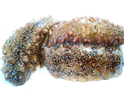 なまこ 生の通販 価格比較 価格 Com