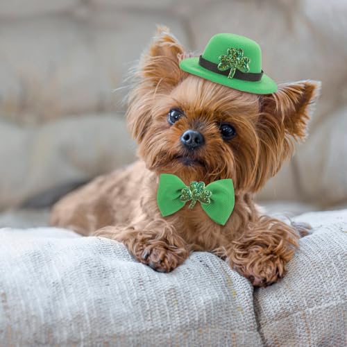 Disfraz para mascota San Patricio con sombrero y collar ajustable miniatura 4