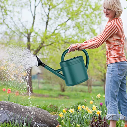 1 Gallon Watering Can For Indoor Plants, Garden Watering Cans Outdoor Plant House Flower, Gallon Watering Can Large Long Spout With Sprinkler Head #TOP4