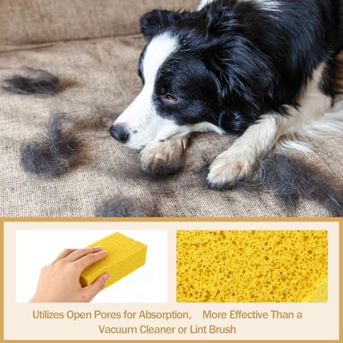 Image of Jingmore 8 Pack Pet Hair Lifter Remover Sponge Cat and Dog and Other Pet Hair from Furniture, Carpet, Bedding and Clothing, Removal Tool, 5.91 x 2.76 x 1.57 Inches
