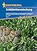 Produktbild Kiepenkerl 4711 Schildkrötenmischung (Kleintiersaaten)