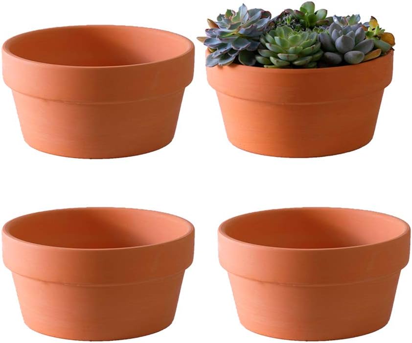 Yishang Terracotta Shallow Planters for Succulent 7 Inch