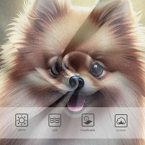 Artistic Toddler Girls Underwear 2t Cotton Panties for Girl Happy Dog Butterflies Briefs Girls Undies3