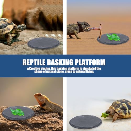 BETOOKY Schildkrötensteinschale 2Pcs Reptilien Sonnenplattform aus simuliertem Naturstein für Fütterung und Habitat im Terrarium für Wasserschildkröten-4