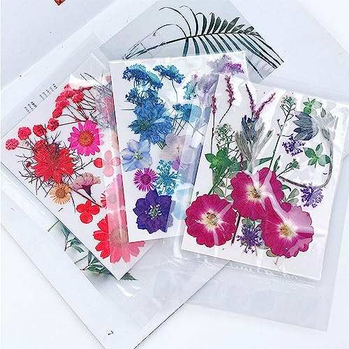 Kit de flores secas prensadas para manualidades 100 pcs miniatura 6
