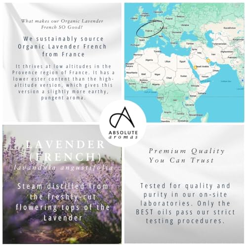 Aceite Esencial Orgánico de Lavanda Francesa 10ml miniatura 4