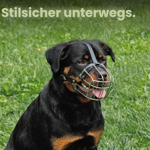 BRONZEDOG Hundemaulkorb Verstellbar Robustes PVC/Metalldrahtkorb für Große und Sehr Große Hunde mit Lederbändern Atmungsaktiv, Trinkfähig, Training, Verhindert Beißen (Rottweiler, Edelstahl)