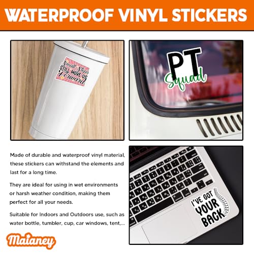 Image of MAIANEY (3x3 in) Funny Physical Therapy Stickers Pack 10 Waterproof Vinyl PT Decals for Laptops, Water Bottles, Notebooks - Motivational Quotes for Physical Therapists & Students