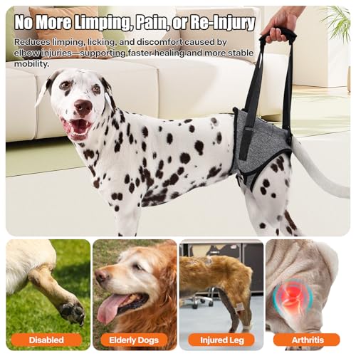 Image of Dog Sling for Medium Large Dog Rear Leg, Lift Harness Provide Support with Muscle Atrophy and Joint Problems for Elderly Injured Arthritic Pet, Dog Weak Rear Legs Provides Rehabilitation Aid