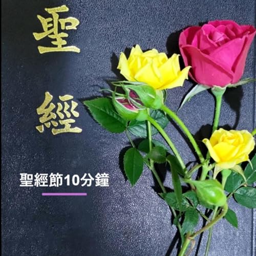 『聖經節10分鐘』のカバーアート