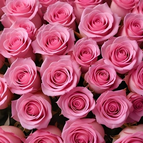Arabella Bouquets 100 Fresh Pink Roses | Arabella Bouquets | Bulk Flowers For Delivery, Birthday, Congratulations, Best Wishes thumb #1