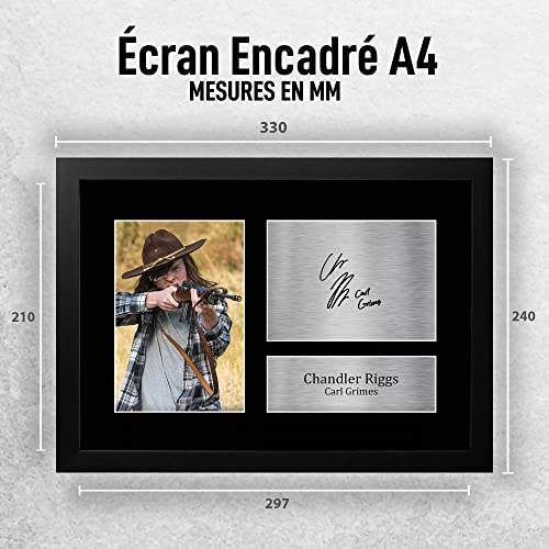 Affiche Walking Dead Carl Grimes encadrée A4 autographe Chandler Riggs - 2