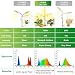 MOCOLI Lamparas de Cultivo, Foco LED Cultivo 150W 315 Leds with 3...
