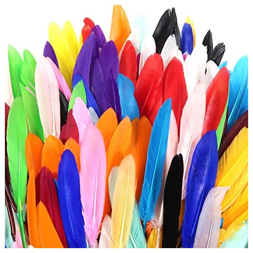 TOAOB 250 Pezzi Piume Colorate Decorative Piume Naturali Oca Piuma Carnevale per Nozze Feste Decorazione Fai da Te Feste di Compleanno e Matrimonio Acchiappasogni Scrapbooking Artigianato