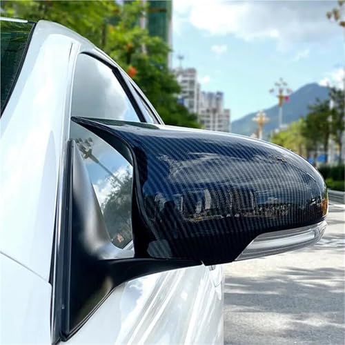 Rénover rétroviseur Toyota Prius Wish coque carbone extérieure - 3