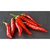 Tatil Sus Pepper 10 Chilli Seeds