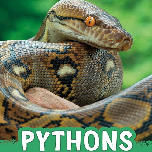 Martha E. H. Rustad's Pythons episode artwork